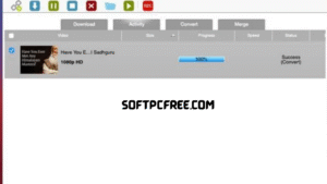 Allavsoft Crack